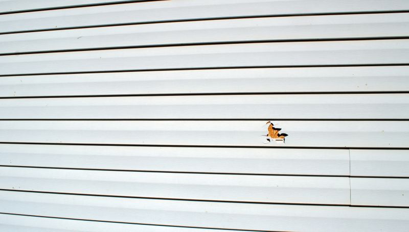 Finished Vinyl Siding Restoration